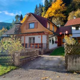 Ferienhaus Bauer Wohnung 2，位于Trattenbach的酒店
