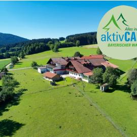 Hotel Hirschenstein，位于阿赫斯拉赫的酒店