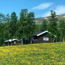 Simple Mountain Cabin Near Vinstra，位于温斯特拉的酒店