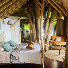 Raiatea Treelodge，位于Taoru的酒店