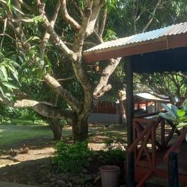 Eco Adventure Camp, Lodge and Tours Pte Limited，位于Mba的酒店