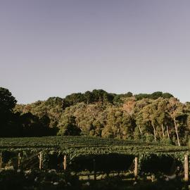 Mantons Creek Estate，位于Shoreham的酒店