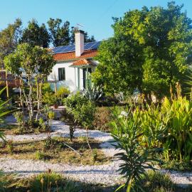 Quinta Sarnadela - private rooms with shared kitchen，位于奥利维拉多霍斯比托的酒店