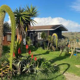 Da Silva Surfcamp - Tiny House Jorgina，位于劳林哈的酒店
