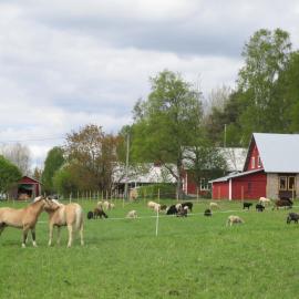 Rantakorpi Farm，位于Niemisjärvi的酒店