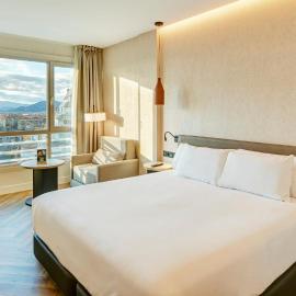 Sercotel HMO Martina,位于格拉纳达的酒店