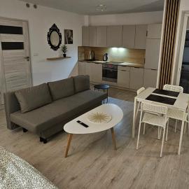 Apartament Studio Centrum，位于奇武胡夫的酒店
