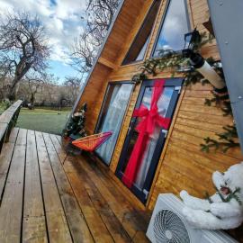 Carpatina A-Frame Retreat - Rustic Cabins for Couples，位于Runcu的酒店