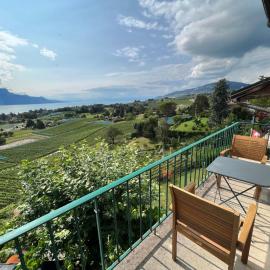 Apartment Vigneronne- App- Lac by Interhome，位于布洛奈的酒店