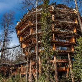Huilo Huilo Nothofagus Hotel & Spa，位于富伊港的酒店