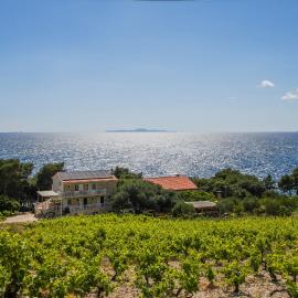 Apartments Villa Ana，位于Gornji Dingač的酒店
