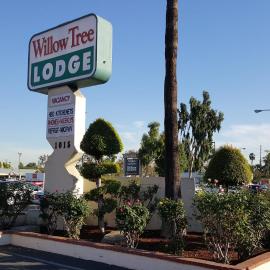 Willow Tree Lodge，位于福乐顿市的酒店