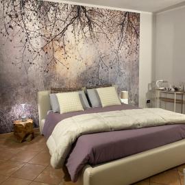 Asfodelo rooms，位于布拉的酒店