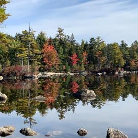 Beautiful Maine Retreat 4 Bdrm Lakeside Cottage，位于Surry的酒店