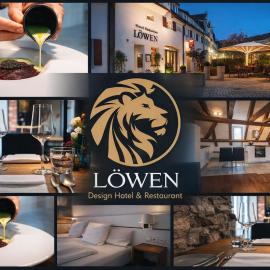 Design Hotel & Restaurant Löwen，位于乌尔姆的酒店