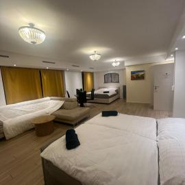 Central Living Brugg - View of Black Tower Apartment，位于布鲁格的酒店