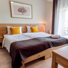 Rezydencja Pod Ochorowiczówką B&B，位于维斯瓦的酒店
