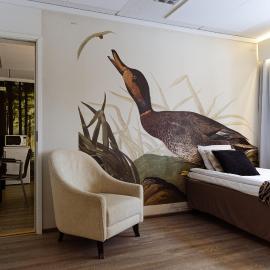 Hotel Sorsanpesä，位于塞伊奈约基的酒店