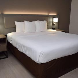 Comfort Inn & Suites Syracuse-Carrier Circle，位于锡拉丘兹的酒店