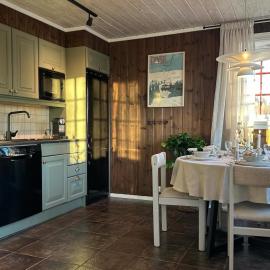 Midt i Trysilfjellet sør Ski inn og ski out，位于特吕西尔的酒店