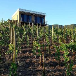 Cabañas Rancho Palos Verdes，位于Villa de Juárez的酒店