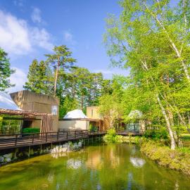 ForestVillage