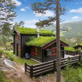 Charming cabin by Hallingskarvet ski center，位于Holo的酒店