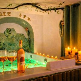 Jungle Spa - Cocon tropical et romantique avec balnéo en plein coeur de Pézenas !，位于佩兹纳斯的酒店