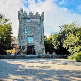 Moyvannan Castle on 7 Acres