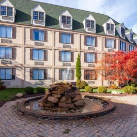 Chateau Resort & Conference Center，位于坦纳斯维尔的酒店