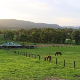 Woodmount Ridge Farmstay，位于Ellalong的酒店