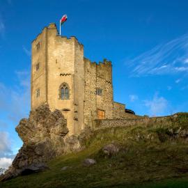 Roch Castle，位于Roch的酒店