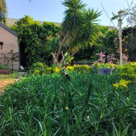 The Hermon Hotel,位于Hermon的酒店