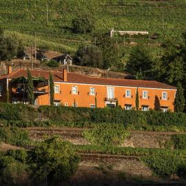 Quinta do Vallado - Douro Wine Hotel，位于比索达雷加的酒店