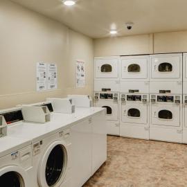 WoodSpring Suites Williston，位于威利斯顿的酒店