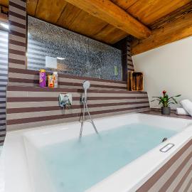 Wellness Apartment Suite "Paradies Suite"，位于施帕尔特的酒店