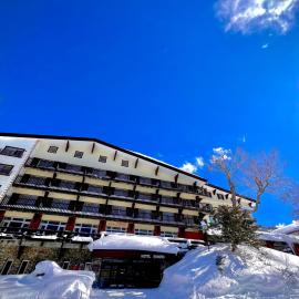 Hotel Kodama，位于山之内町的酒店