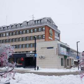 Dzūkija Hotel，位于阿利图斯的酒店