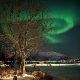 Hammergaarden - Kårstua - Panoramic Arctic Stay，位于苏特兰的酒店