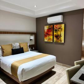 Hotel Soleil Business Class，位于莱昂的酒店