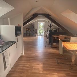 Bright attic apartment with charm，位于萨尔甘斯的酒店