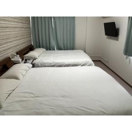 ＳＫＹＧＡＲＤＥＮ ＮＥＯ - Vacation STAY 06008v，位于Sumiyoshi的酒店