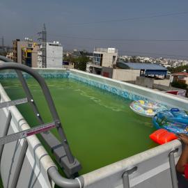 LUXE Penthouse 4BHK with Swimming pool，位于迈索尔的酒店
