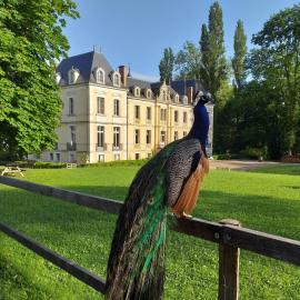 Eco Hôtel du Domaine de Ouézy，位于Ouézy的酒店