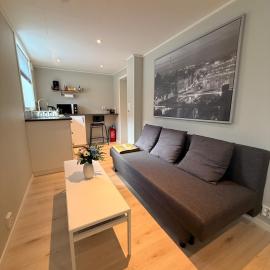 Cozy basement apartment in Orkanger，位于欧坎哥的酒店