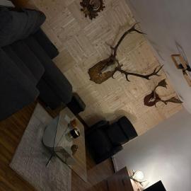 Cabana Trofelor，位于Comandău的酒店