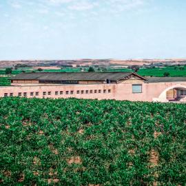 Alojamiento rural Solterra，位于Roa的酒店