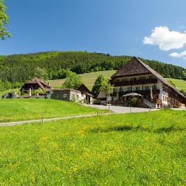 Landgasthaus Grüner Baum，位于西蒙斯瓦尔德的酒店