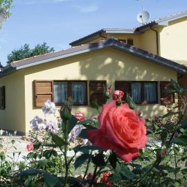 Country House La Madonnina,位于西尼加利亚的酒店