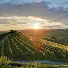 Holiday Home Cannubi in Barolo，位于巴罗洛的酒店